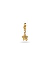 Charm étoile a strass